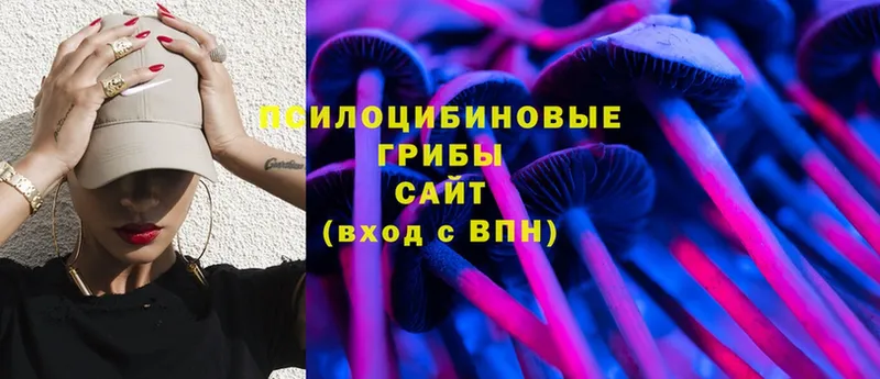 Псилоцибиновые грибы Cubensis  даркнет формула  Кудымкар  наркотики 